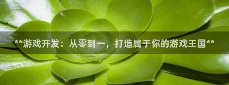 沐鸣2代理注册