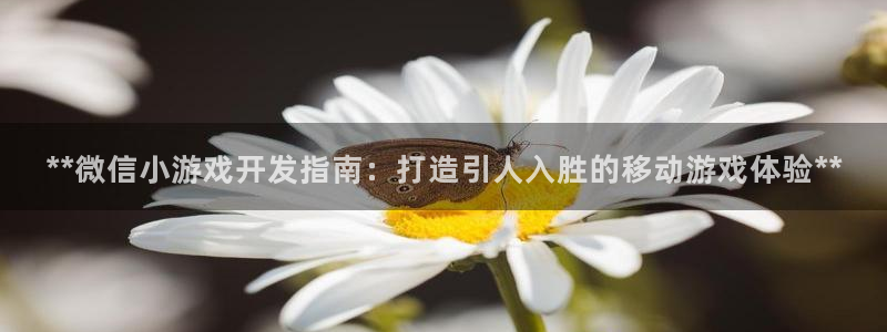 沐鸣娱乐2在线注册