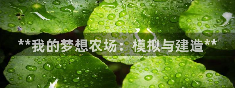 沐鸣2平台官方注册登录