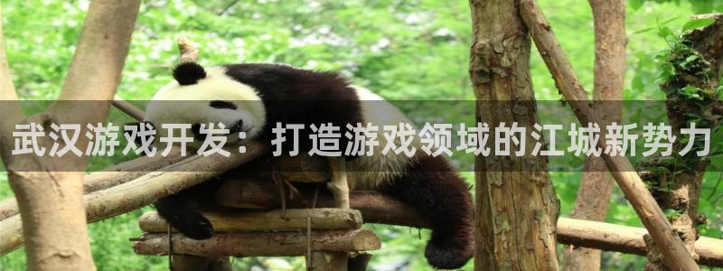 沐鸣2平台测速登录