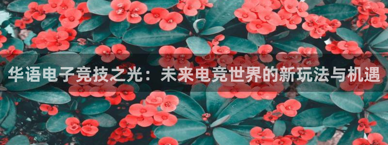 沐鸣娱乐2官方平台：华语电子竞技之光：未来电竞世界的新玩法与机遇