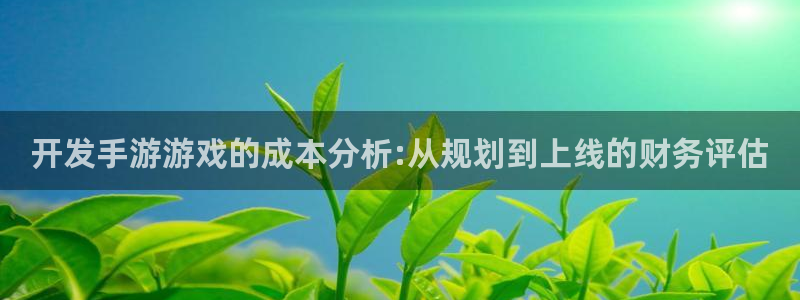 沐鸣娱乐2登录：开发手游游戏的成本分析:从规划到上线的财务评估