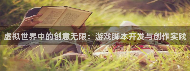 沐鸣娱乐2登录平台是什么：虚拟世界中的创意无限：游戏脚本开发与创作实践
