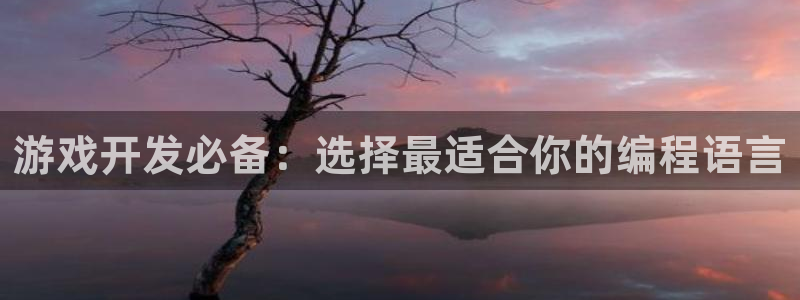 沐鸣娱乐2登录平台官网入口：游戏开发必备：选择最适合你的编程语言
