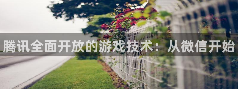 沐鸣2平台招商：腾讯全面开放的游戏技术：从微信开始