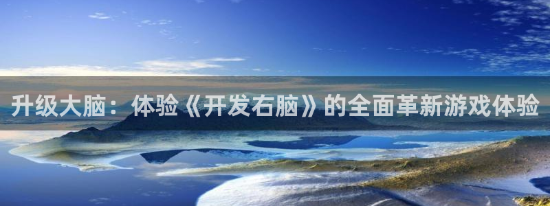沐鸣2平台官网登录：升级大脑：体验《开发右脑》的全面革新游戏体验