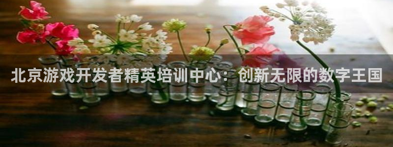 沐鸣娱乐2官方平台投诉：北京游戏开发者精英培训中心：创新无限的数字王国