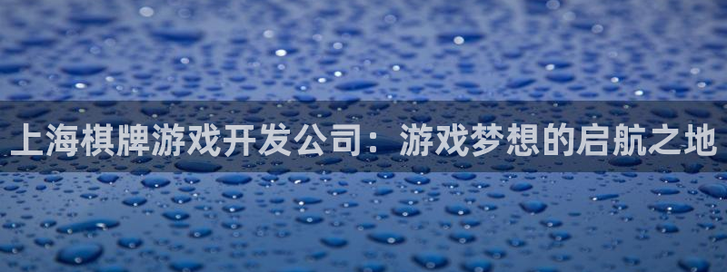 沐鸣2娱乐平台登录客服：上海棋牌游戏开发公司：游戏梦想的启航之地