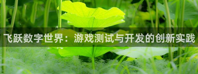 沐鸣娱乐2官网网址是什么：飞跃数字世界：游戏测试与开发的创新实践