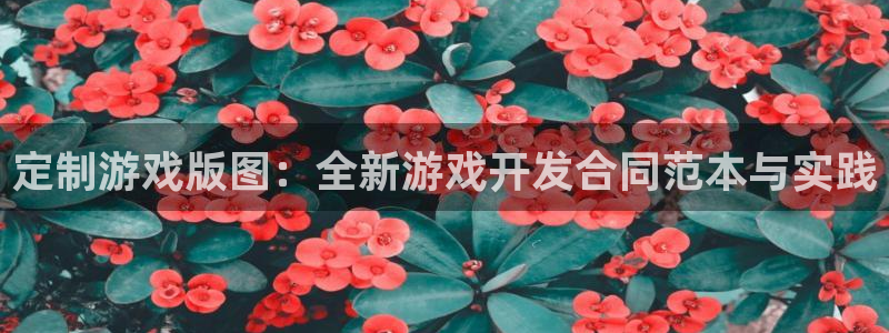 沐鸣2官网 5O6917：定制游戏版图：全新游戏开发合同范本与实践