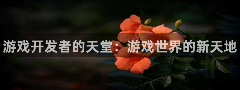 沐鸣娱乐2登录平台官网网址：游戏开发者的天堂：游戏世界的新天地