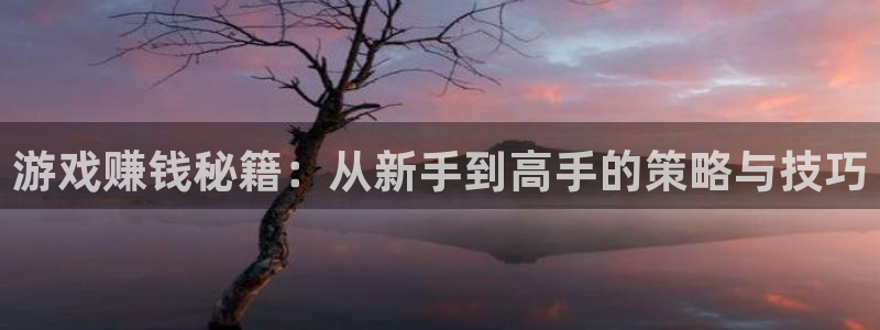 沐鸣娱乐2怎么样：游戏赚钱秘籍：从新手到高手的策略与技巧