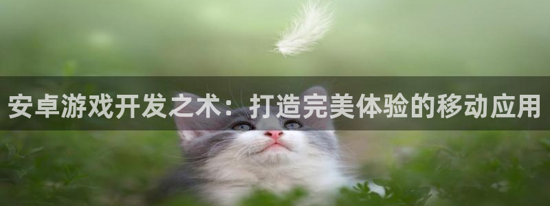沐鸣2注册说来77542：安卓游戏开发之术：打造完美体验的移动应用