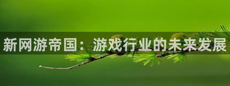 沐鸣2代理酋27337：新网游帝国：游戏行业的未来发展