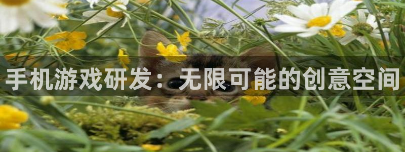 沐鸣娱乐2注册账号：手机游戏研发：无限可能的创意空间