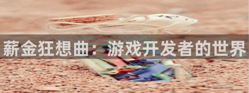 沐鸣娱乐2登入：薪金狂想曲：游戏开发者的世界